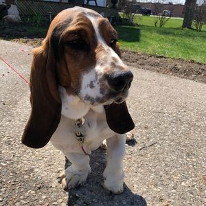 Meet your Posher, Deanne